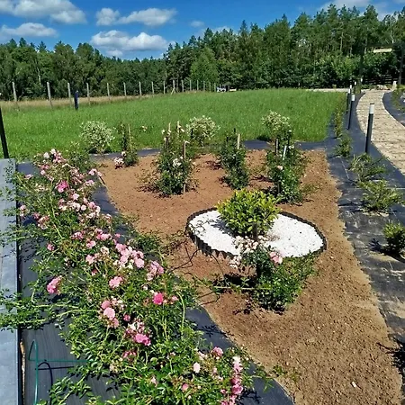 Letniskowy - Lesna Chmurka - Sauna, Bania Tatil Evi Cewice