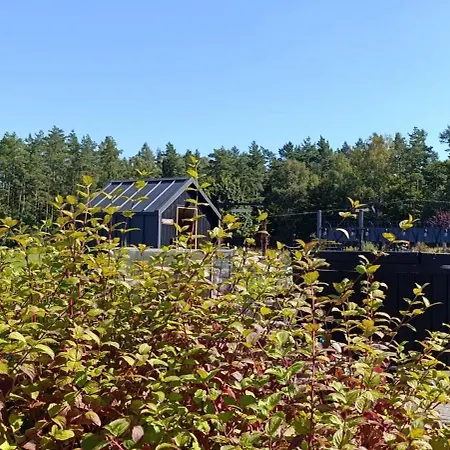 Letniskowy - Lesna Chmurka - Sauna, Bania * Cewice