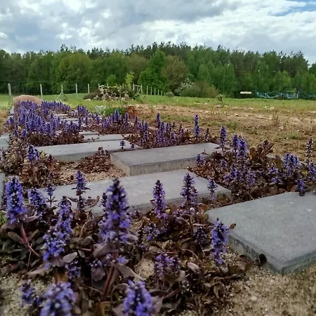 בית נופש Letniskowy - Lesna Chmurka - Sauna, Bania *