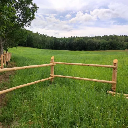 בית נופש Letniskowy - Lesna Chmurka - Sauna, Bania Cewice