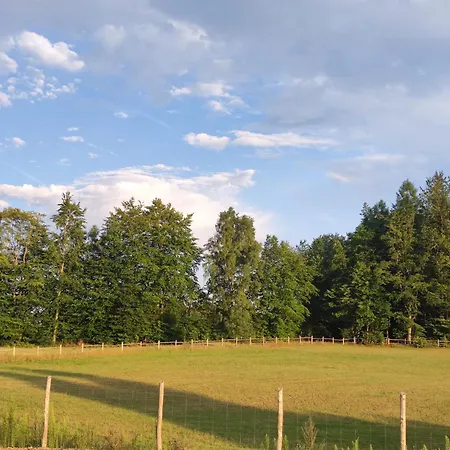 בית נופש Letniskowy - Lesna Chmurka - Sauna, Bania Cewice