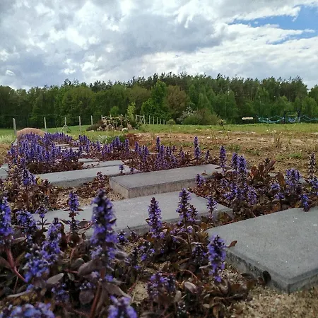 בית נופש Letniskowy - Lesna Chmurka - Sauna, Bania Cewice