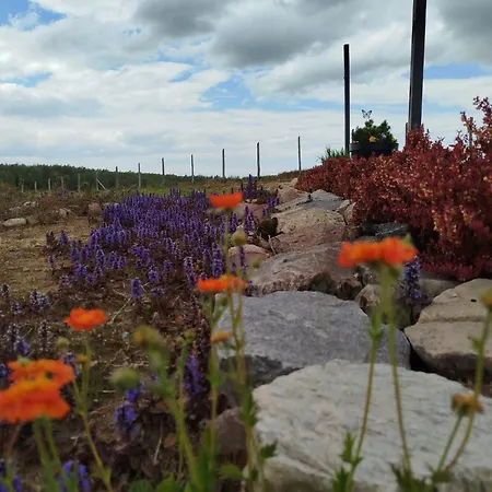 בית נופש Letniskowy - Lesna Chmurka - Sauna, Bania Cewice