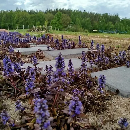 בית נופש Letniskowy - Lesna Chmurka - Sauna, Bania