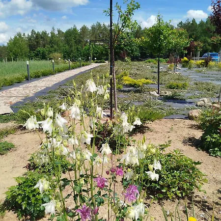 Letniskowy - Lesna Chmurka - Sauna, Bania *