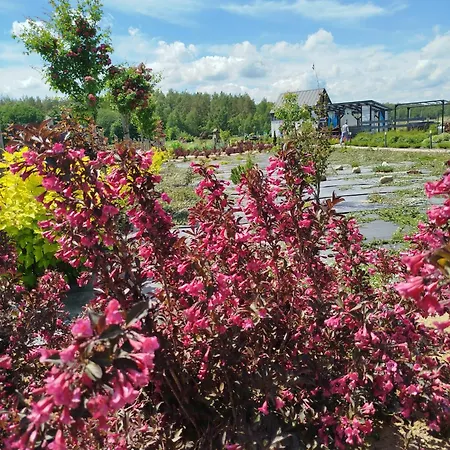 Letniskowy - Lesna Chmurka - Sauna, Bania *