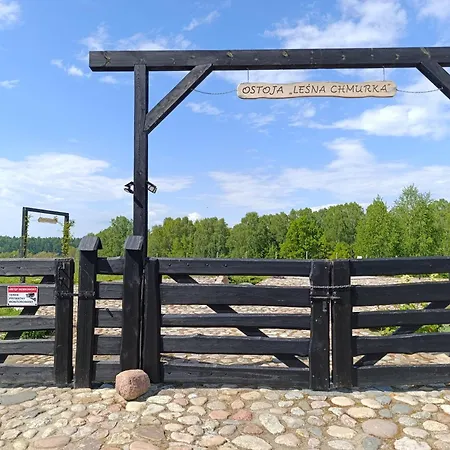 Letniskowy - Lesna Chmurka - Sauna, Bania * Cewice
