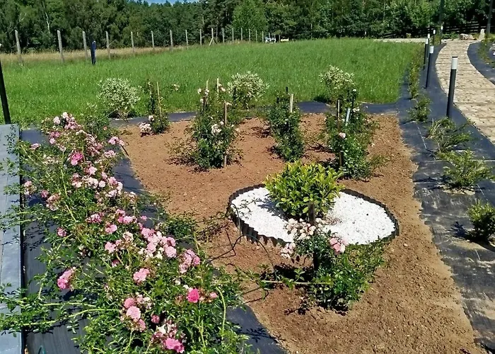 Letniskowy - Lesna Chmurka - Sauna, Bania Tatil Evi Cewice