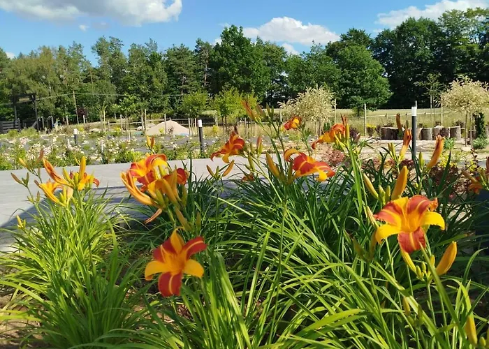 Letniskowy - Lesna Chmurka - Sauna, Bania Cewice